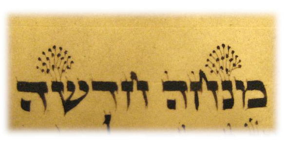 Fabrangen Torah writing.